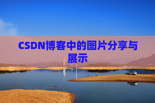 CSDN博客中的图片分享与展示